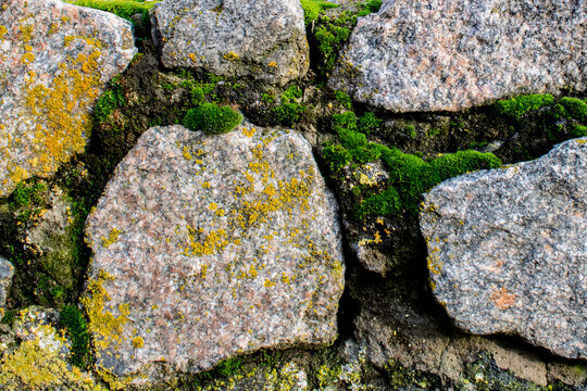 moss-covered stone wall