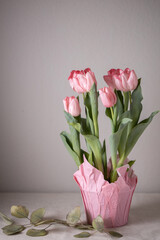 A bouquet of pink tulips in a pot on a light table, decorated with eucalyptus leaves, a delicate color for the spring holiday and women's day. The background of a beige wall with space for text.