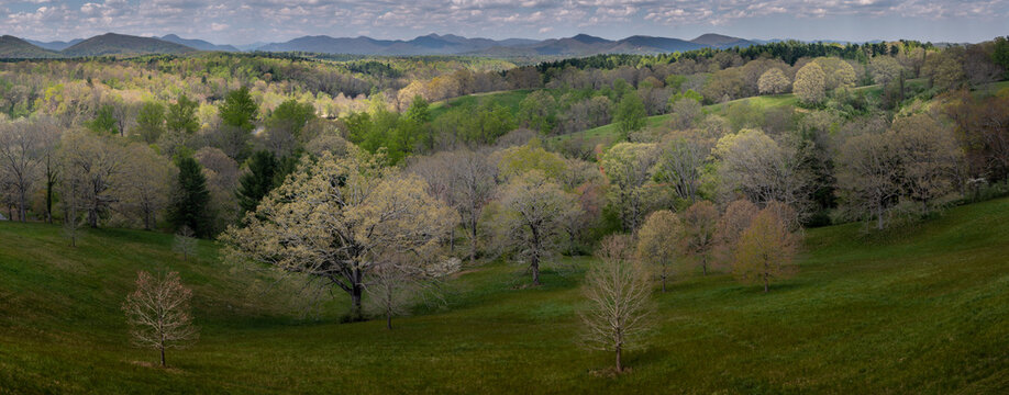 Springtime panorama of the Smoky Mountains from Biltmore Estate, North Carolina.