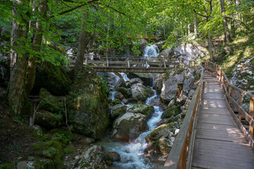 Obraz premium Beautiful wooden hiking path in the forest near a waterfall. Myrafall in lower austria. Austria. Nature and holiday concept.