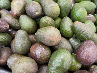 avocados on the shelves at the store