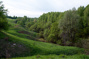 Fototapeta na wymiar Landscape near the village Vshchizh, Zhukovka district, Bryansk region, Russia, May 10, 2014
