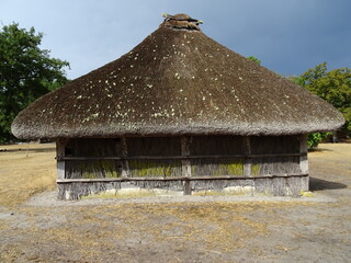 Fototapeta na wymiar old thatched roof house in the Landes, france