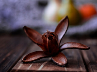 FLOR DEL ÁRBOL DE CEDRO