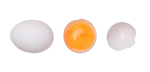 Fresh white chicken egg and egg half with a yolk isolated on a white background.