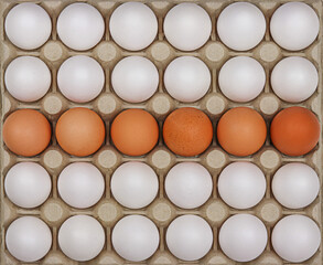 Box of white eggs with six brown eggs, square egg carton. Easter eggs. Top view.