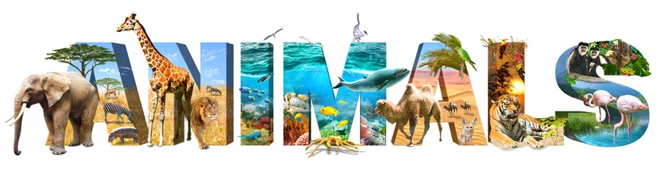 Papier peint photo Animaux sauvages Animals. Illustration of wild animals and wildlife.  Each animal is from nature. Element for Advertisement, postcard, poster, and more.  Isolated on white, PNG file available.  © cranach