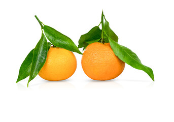 Two ripe tangerines with leaves isolated on a white background