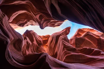 Poster Zeepaardje silhouet in Lower Antelope Canyon in Page Arizona © Wes Culver
