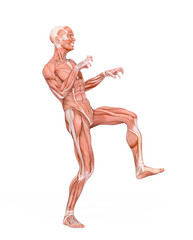 average man muscle maps is doing a halloween pose