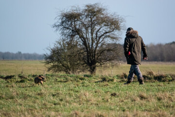 man walking his terrier cross dog across grassland field, winter blue sky