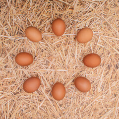 Fresh natural eggs in circle on straw background. Realistic Easter vintage scene. Flat lay