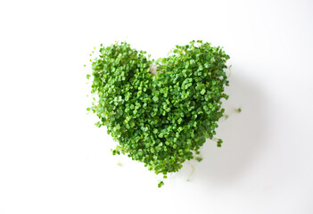 microgreen planted in the shape of a heart on a white background