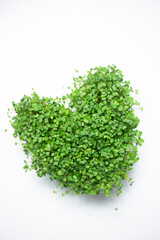 Fototapeta na wymiar microgreen planted in the shape of a heart on a white background