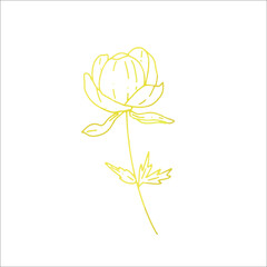 Single element gold flower in doodle style. Hand drawn vector illustration.