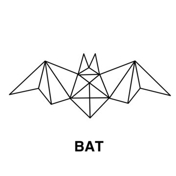 Polygonal image of a bat, line vector illustration