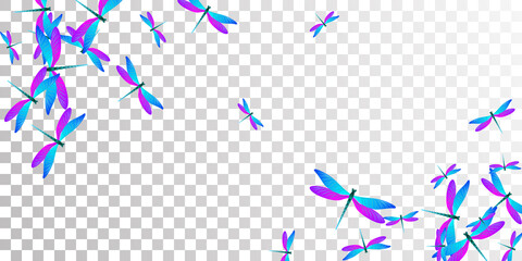 Tropical blue purple dragonfly isolated vector illustration. Spring pretty damselflies. Fancy dragonfly isolated girly wallpaper. Delicate wings insects patten. Tropical creatures