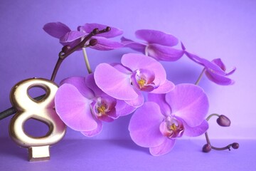Festive golden candle in the shape of an eight on the background of orchids and trendy color 2022. The concept of International Women's Day