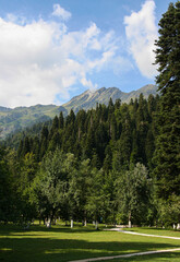 Fototapeta na wymiar Abkhazia Caucasus Mountains near Lake Ritsa