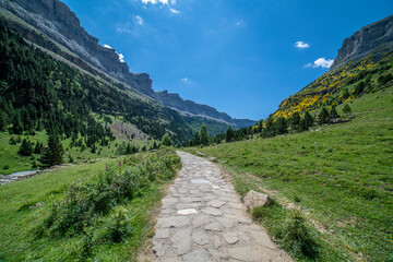 Stone path in the Ordesa and Monte Perdido National park.