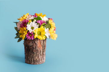 colorful daisies in a natural tree stump vase
on light blue background.