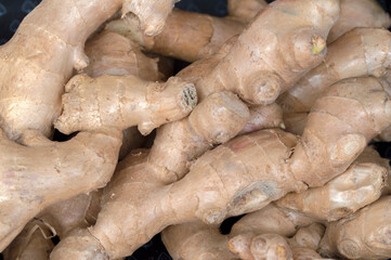 Close Up Ginger At Amsterdam The Netherlands 10-2-2022