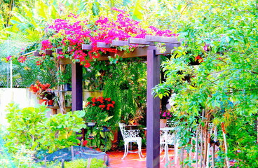 Tropical gazebo. Hi Res. Garden Trellis (Gazebo) with lush greenery and colorful flowers around on Southern Brazil.   