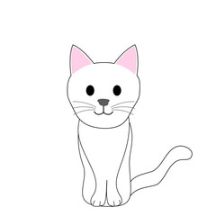 A skinny white cat with white background 