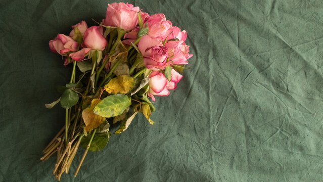 萎れた花を復活させる方法はあるのでしょうか