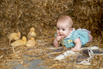 a little girl in a blue dress are looking at yellow ducklings in the hay