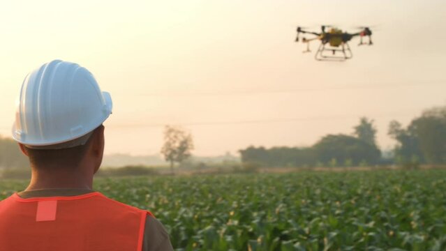 Male engineer controlling drone spraying fertilizer and pesticide over farmland,High technology innovations and smart farming