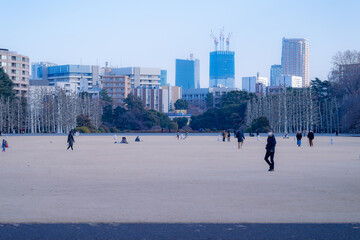 東京都新宿区にある大きな公園の景色