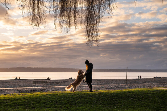 Female walking their dog in the park at sunset