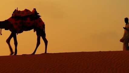 Cameleers, camel Drivers at sunset. Thar desert on sunset Jaisalmer, Rajasthan, India.