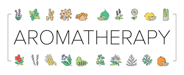Aromatherapy Herbs Collection Icons Set Vector Illustration . - obrazy, fototapety, plakaty
