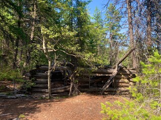 old log cabin in the forest