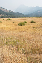 Open meadow in the Absaroka Range, Yellowstone National Park, Wyoming
