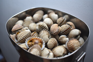 clams that have been boiled in stainless steel containers