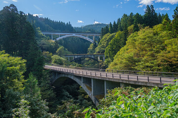 アーチ三橋（兄）弟