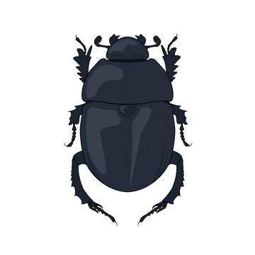 Scarab beetle, ancient symbol of Egypt. Vector scarabaeus bug drawing. Graphic illustration of a sacred egyptian pharaoh insect. Dung-beetle stock image