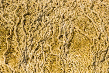 Details of the rock formations in the Mammoth Hot Springs at Yellowstone National Park, Wyoming, USA