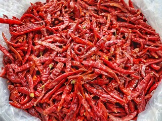 Fototapeta premium red dry chilli pepper