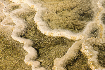 Details of the rock formations in the Mammoth Hot Springs at Yellowstone National Park, Wyoming, USA