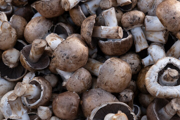 Ripe mushrooms sold in the market