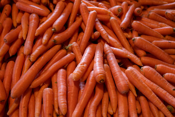 Ripe carrots sold in the market