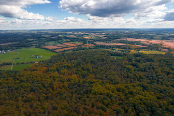 Aerial Drone View of Fall Forest With Foliage Amongst Blue Cloudy Skies