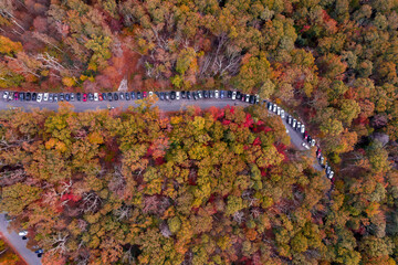 Aerial Top Down View of Fall Trees with Foliage in Maryland 