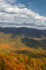 Aerial View of Fall Trees with Foliage in the Distance at Old Rag