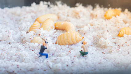 Miniature people : photographer taking sago worm larvae insect