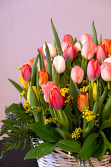 Fresh multicolored tulip bouquet in a basket. Gift for Valentine's Day or Women's Day. Romantic happy birthday concept. Light background.